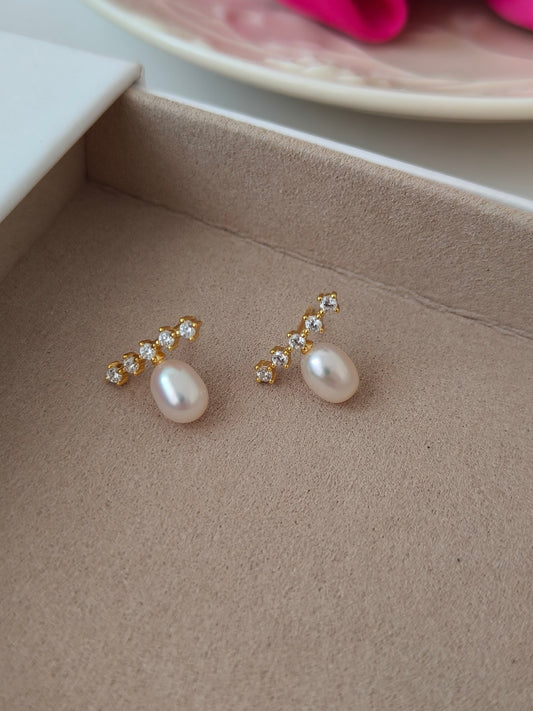 Sparkly rice pearl stud earrings presented in a beautiful box, exuding timeless charm.