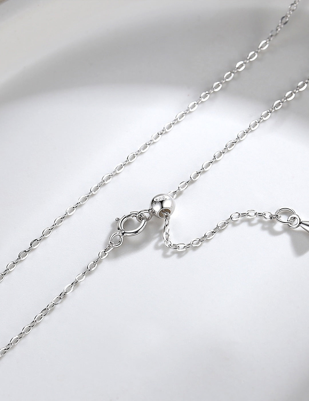 A simple silver necklace with a clasp hanging from a delicate chain.