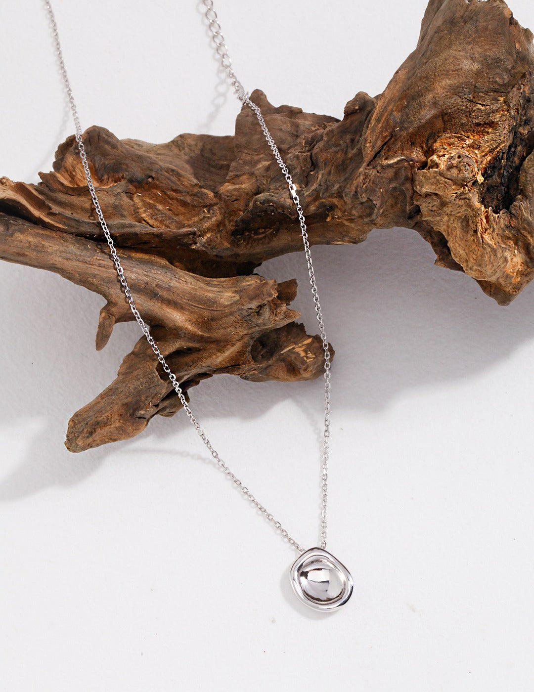 A silver necklace with circle pendant hanging on a tree branch.