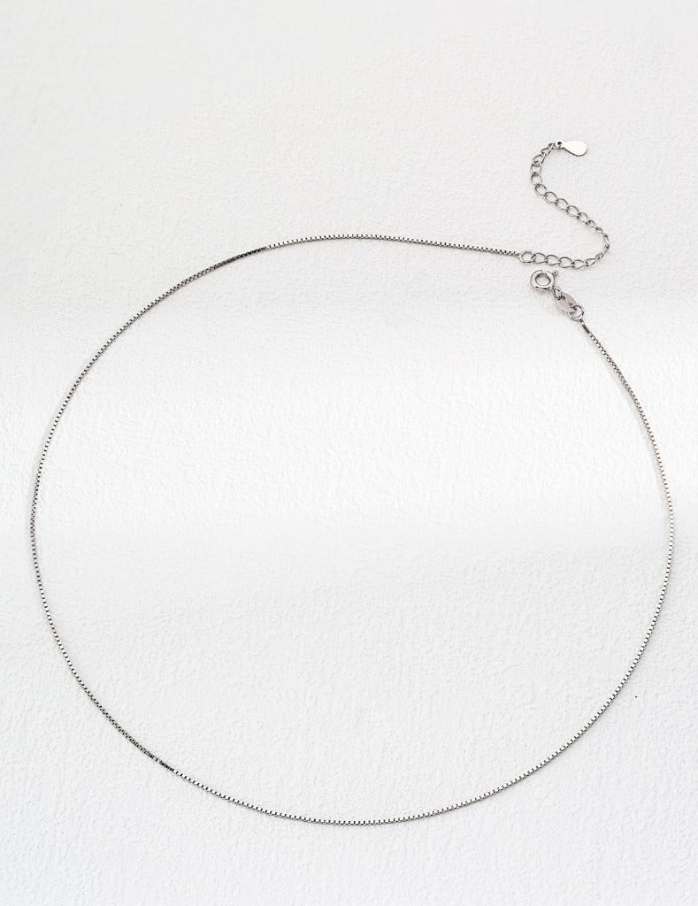 Dainty silver box chain necklace with small chain.